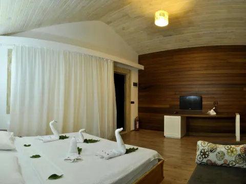 Apella Hotel - Photo 4