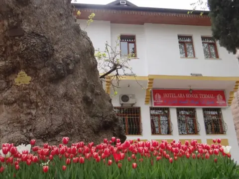 Arakonak Termal Hotel - Photo 1