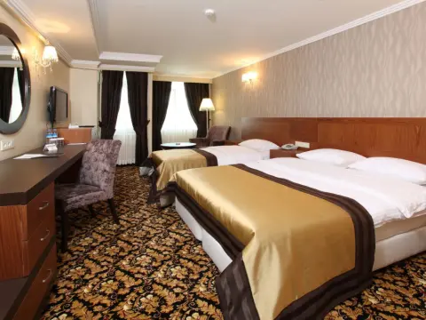 Arya Hotel Business Deluxe - Photo 2