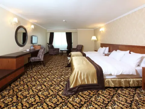 Arya Hotel Business Deluxe - Photo 3