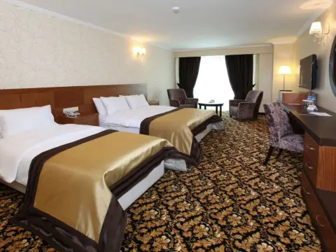 Arya Hotel Business Deluxe - Photo 4