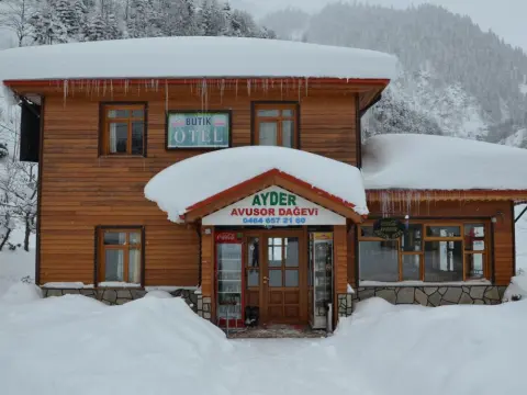 Ayder Avusor Butik Otel - Photo 1