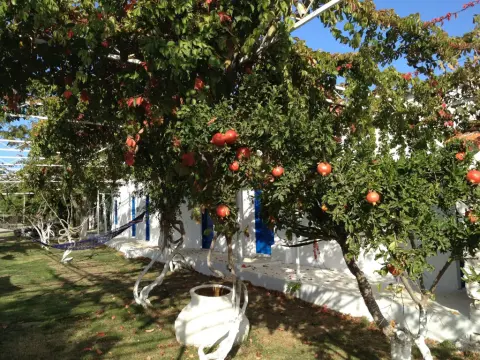 Biyikli Pansiyon - Photo 3