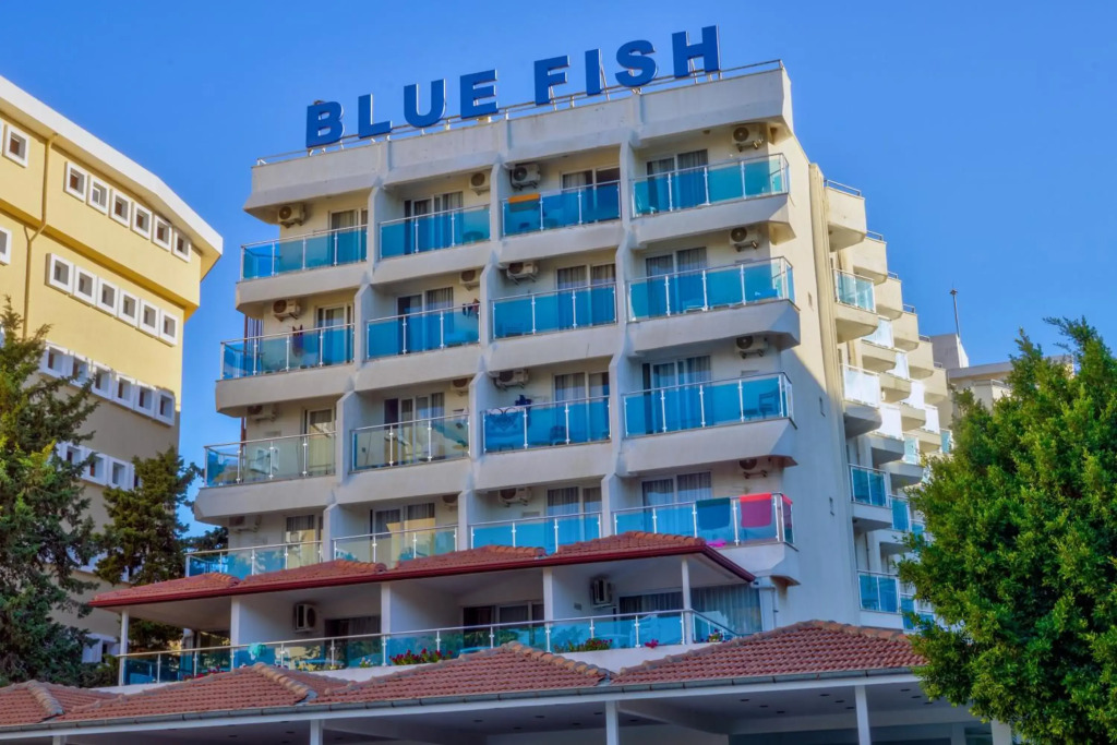 Blue Fish - Foto 1