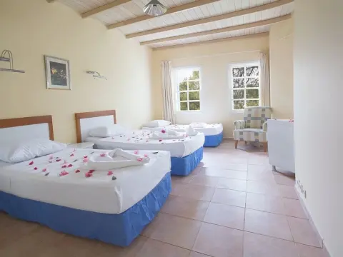 Blue Heaven Resort Bodrum - All Inclusive - Photo 3