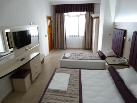 Bronze Hotel - Photo 4