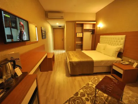 Bupa Hotel - Photo 4