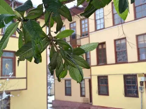 Bursa Guest House - Photo 1