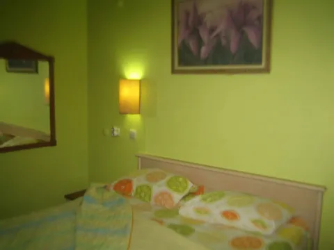 Camel Pension - Photo 1