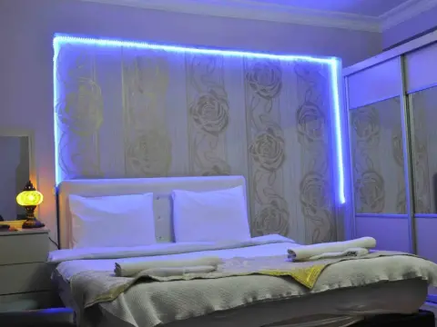 Caravan Palace Apart - Photo 2