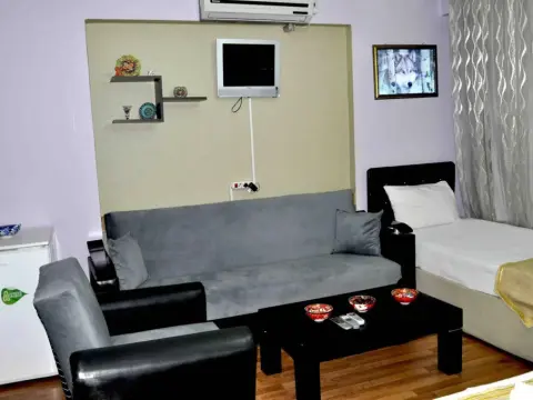 Caravan Palace Apart - Photo 4