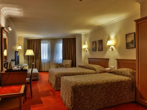 Central Hotel - Photo 3