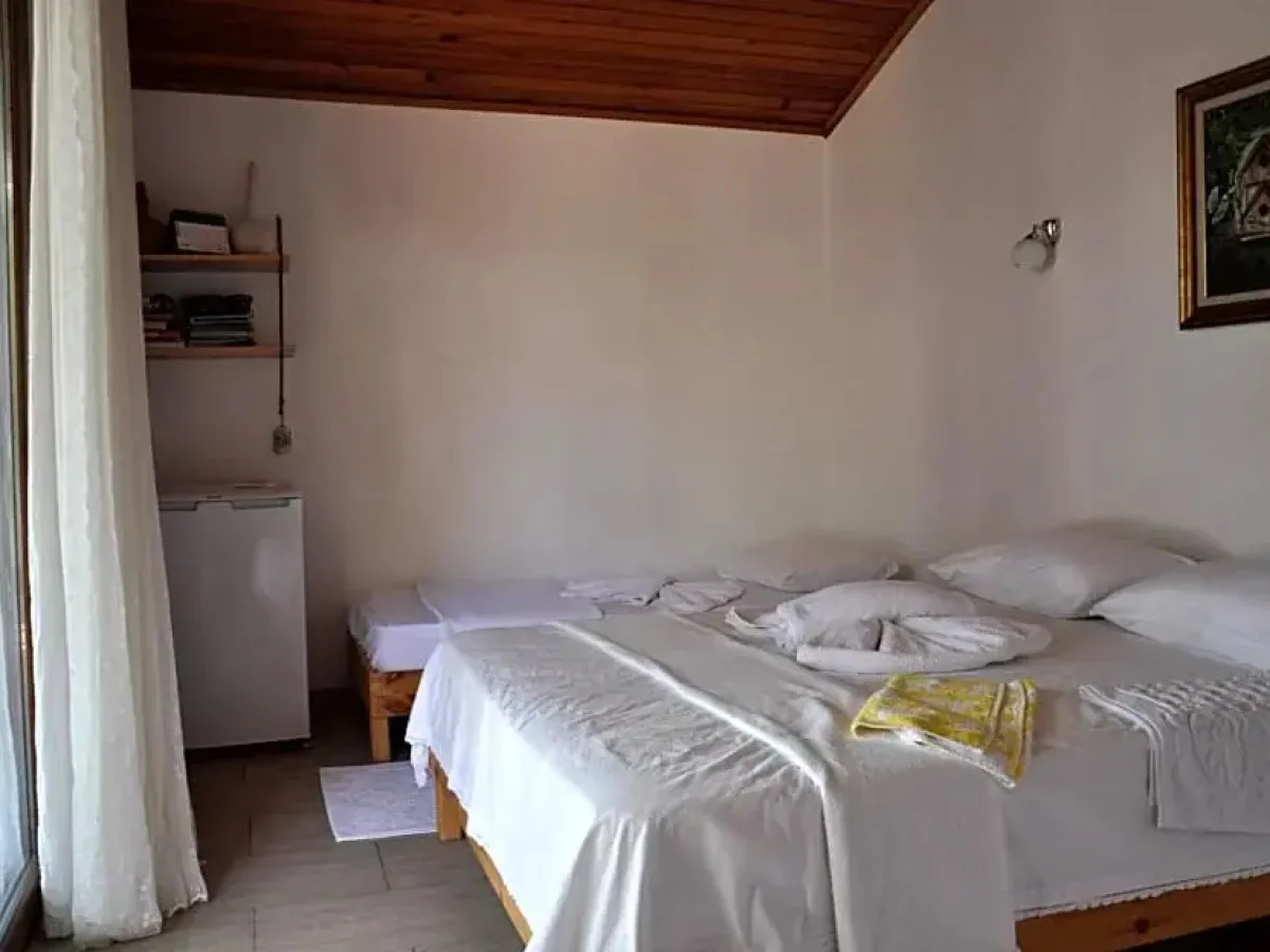 Cirali Kus Yuvası