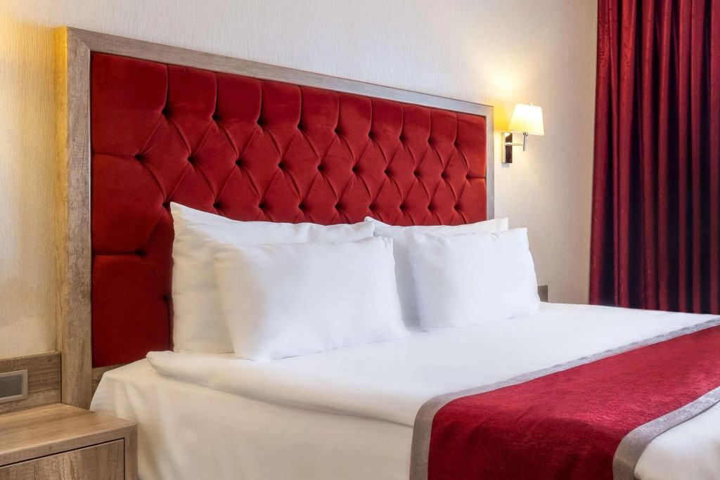 Clarion Hotel Kahramanmaras - Photo 4