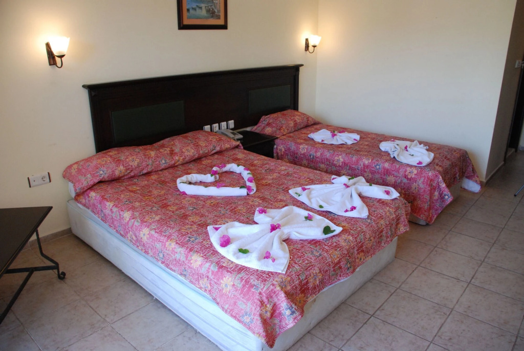 Club Dorado - Photo 4