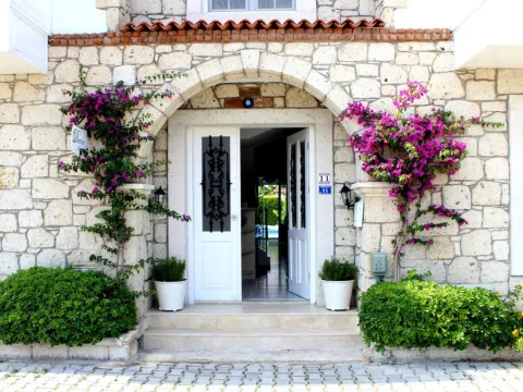 Daria Alacati - Photo 1