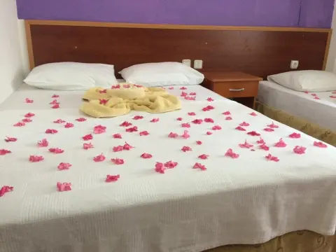 El Latino Otel - Photo 4