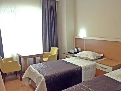 EMSA Palace Hotel - Photo 3