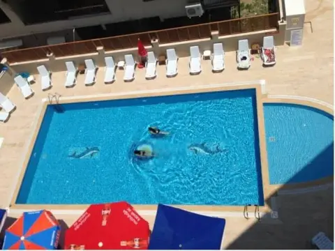 Erdinc Apart Otel Arsuz - Foto 3