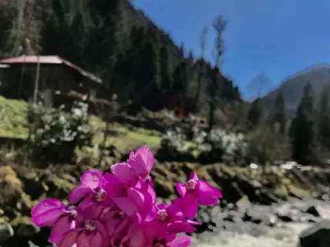 Foga Bungalov - Photo 3