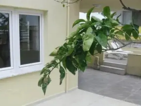 Gaby Apartments Kusadasi - Photo 2