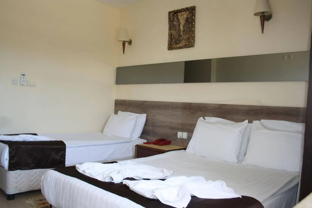 Grand Sevgi Hotel - Photo 3