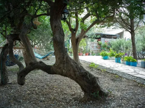 Gulcan Pansiyon - Photo 4