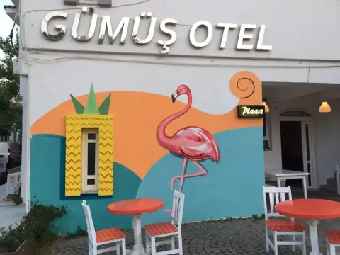 Gumus Hotel - Foto 1