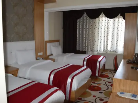 Dinc Hotel - Photo 3