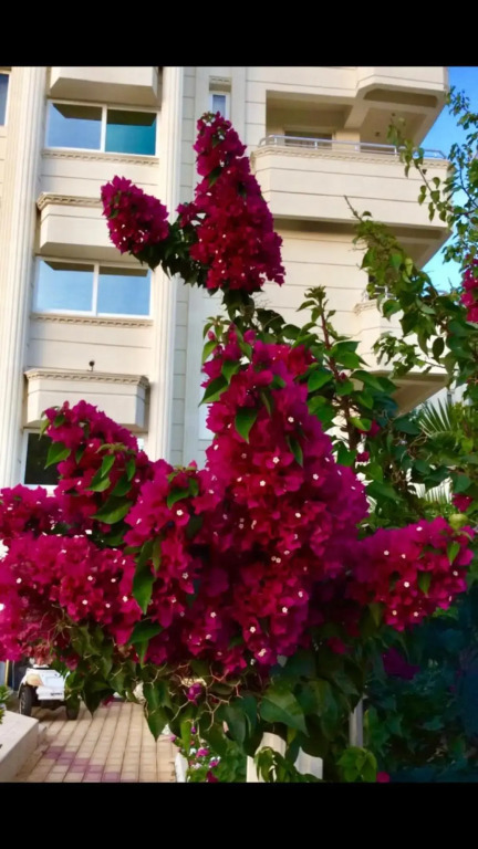 Hotel Rumana - Photo 1