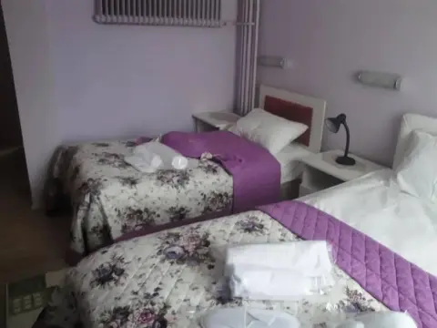 Hotel Sahra - Photo 3