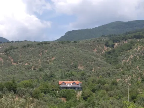 Idakoy Ciftlik Evi - Photo 4