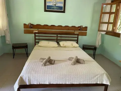 Kekik - Foto 2