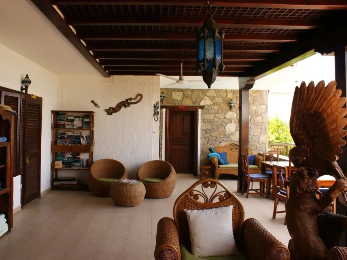 Lazy Lizard Boutique-Hotel