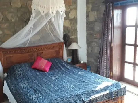 Lazy Lizard Boutique-Hotel - Photo 2