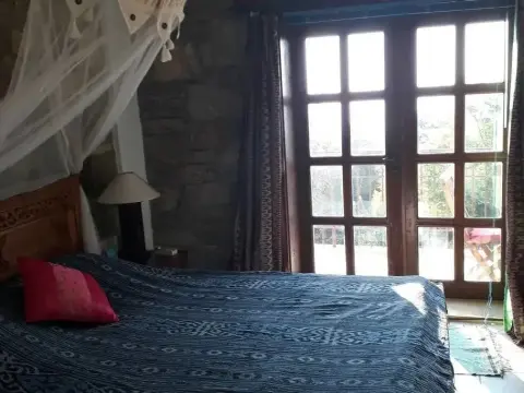 Lazy Lizard Boutique-Hotel - Photo 3