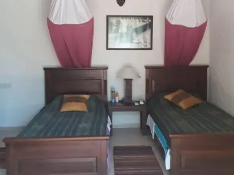 Lazy Lizard Boutique-Hotel - Photo 4