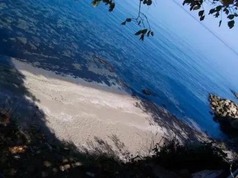 Mesen Akçakoca - Photo 3