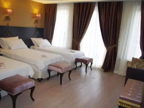 Nar Sophia Sultan Hotel - Photo 3