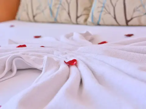 Nebilux Hotel - Photo 3