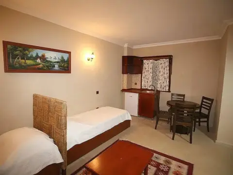 Nerissa Hotel - Special Class - фото 3