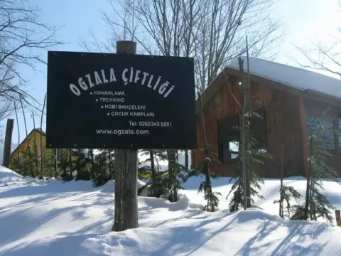 Ogzala Ciftlik Evi - Photo 1