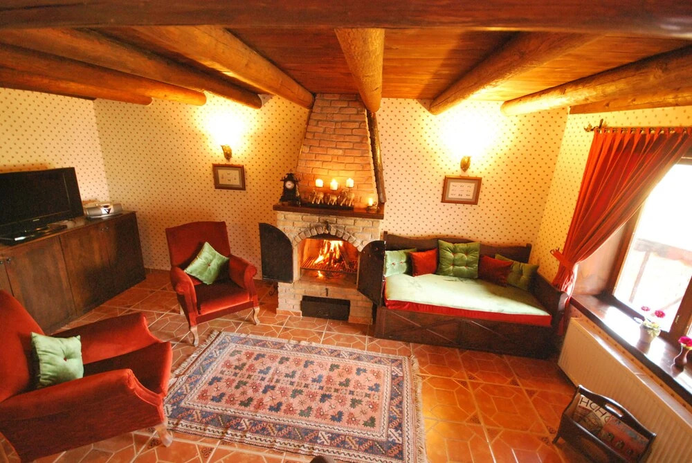 Ongen Country Hotel - Photo 2