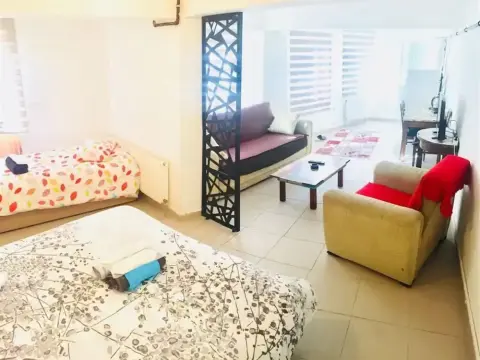 Ozgen Suit - Photo 4