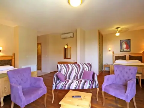 Palace Hotel Olive Odore - Photo 4