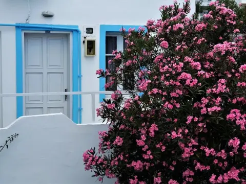 Palma Hotel - Photo 1