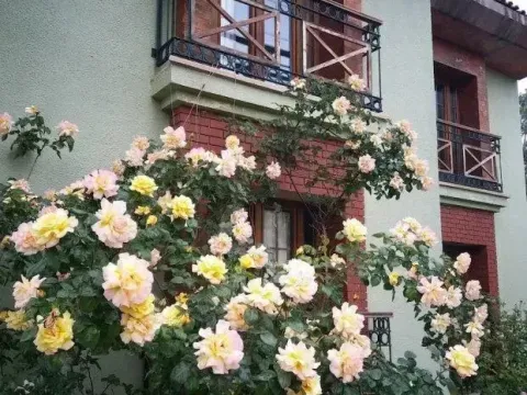 Pendosis Vacation Village - Photo 1