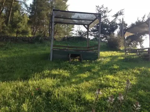 Route 66 Pension - Photo 2