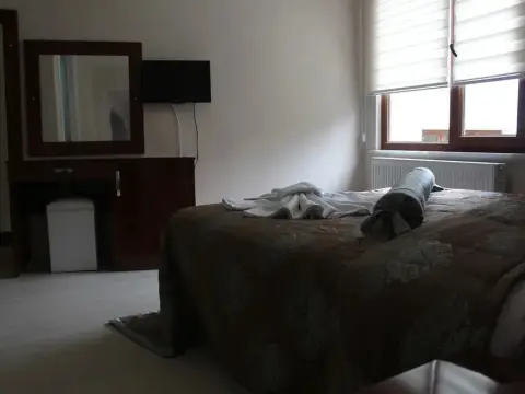 Sahi Divan Hotel - Photo 4