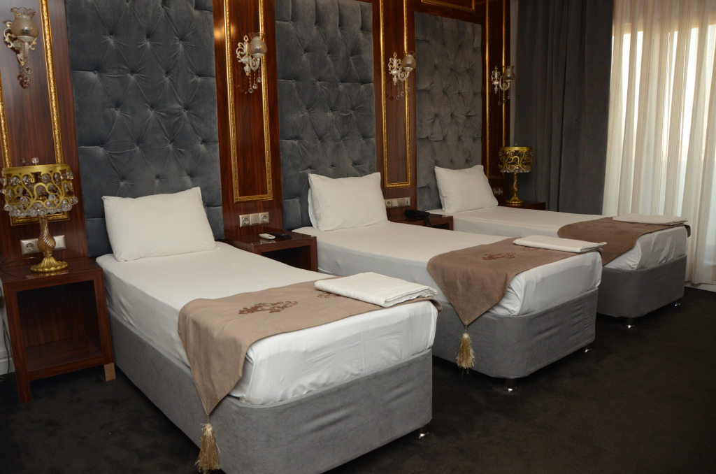 Sahra Airport Hotel - Photo 4